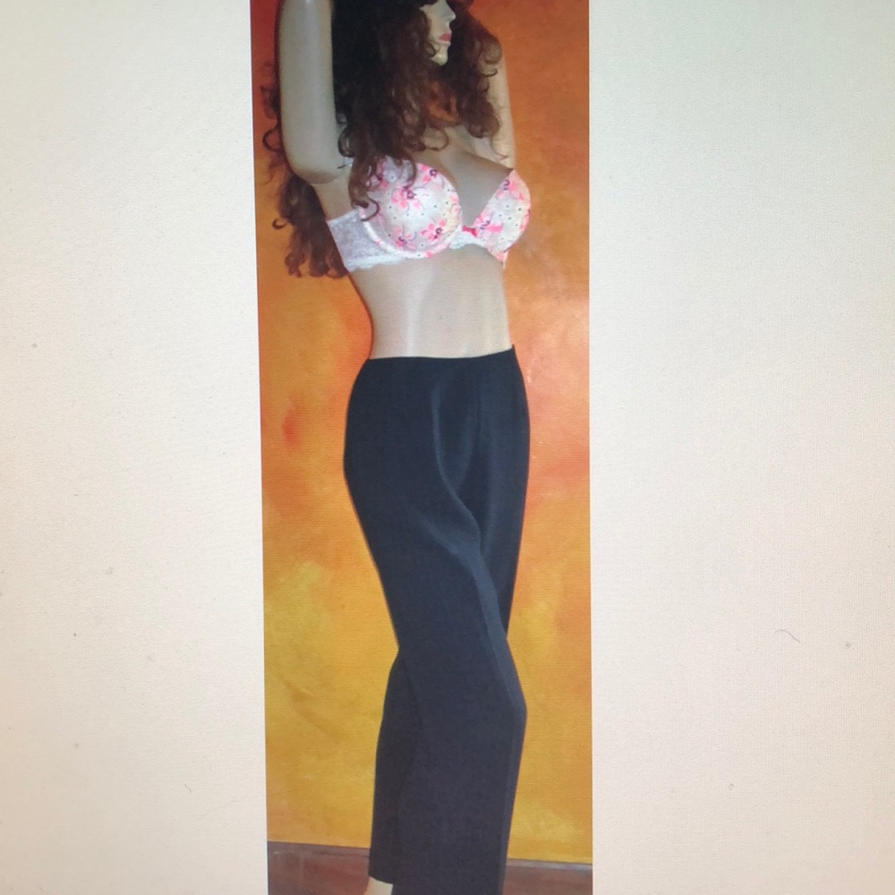 NWT Macy's Red Chalk Stripe Navy Blue Pants 10P